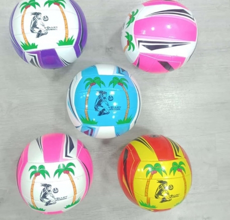 Toptan Voleybol Topu Ekonomik Model